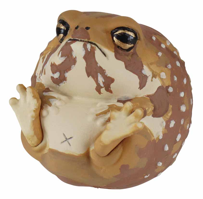 フクラガエル（B）