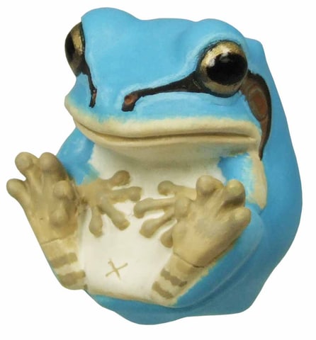 現代　根付　蛙（ぐるぐる）　一景 現代 根付 蛙（ぐるぐる） 一景