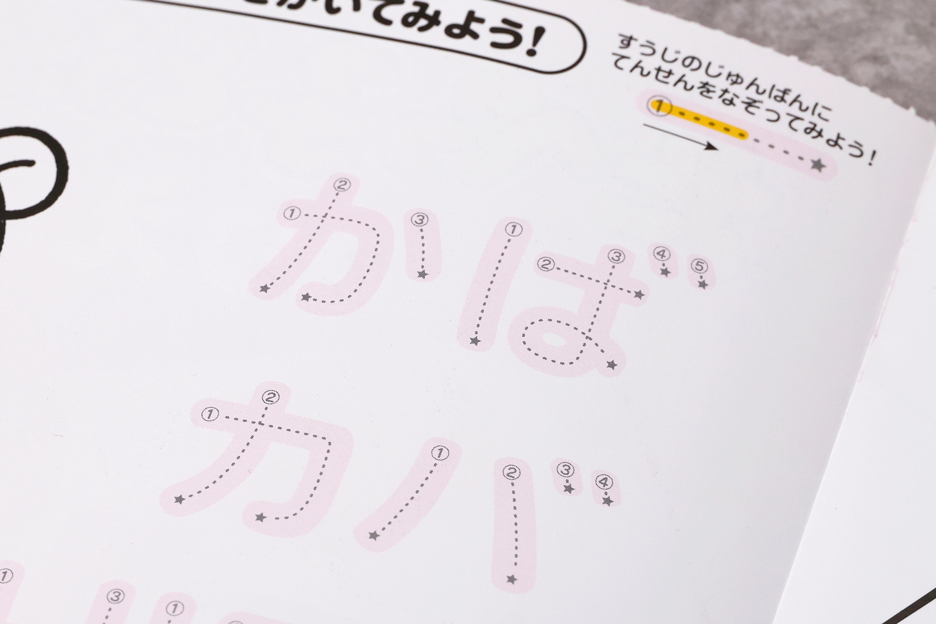日本語の動物名は文字数が少なくシンプルなものが多いことに、あらためて気付かされる