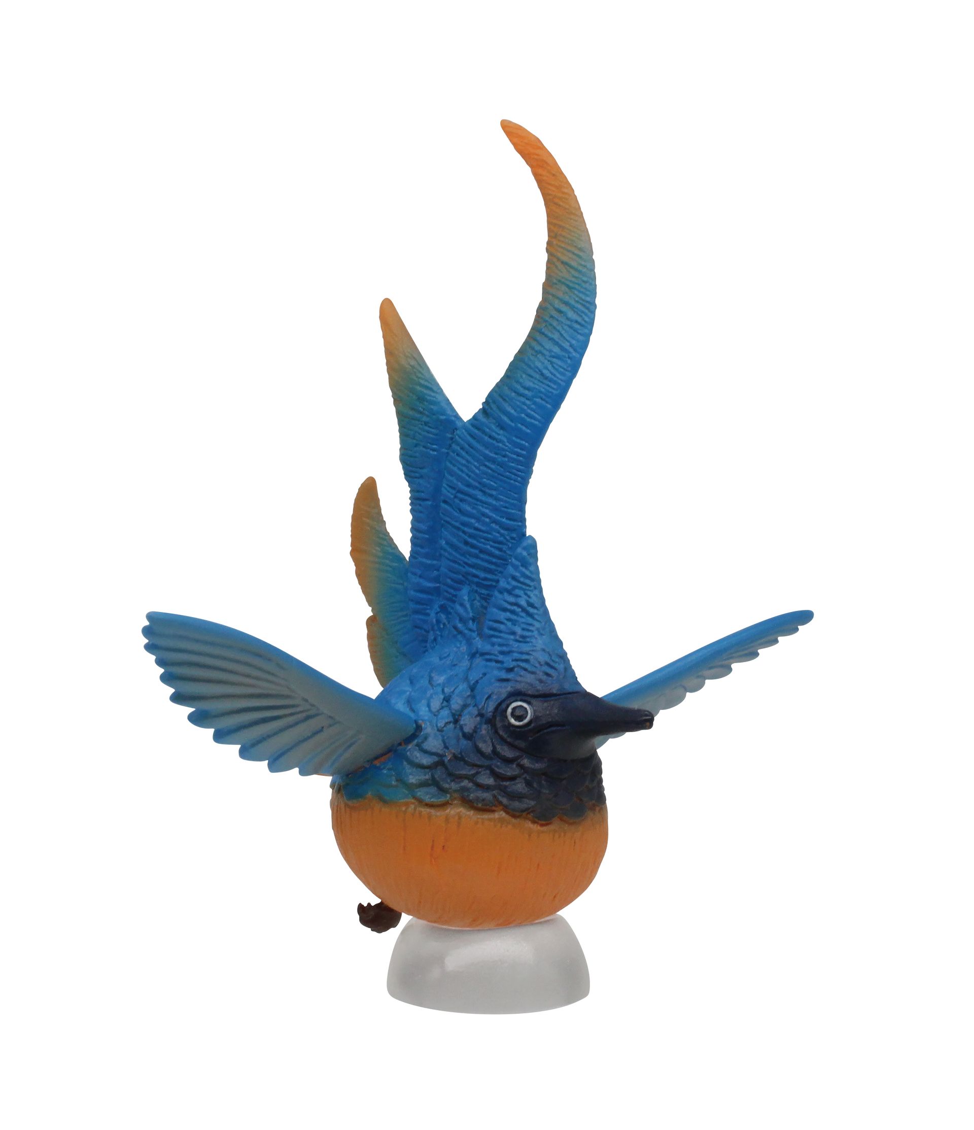 橙ヒトダマドリ