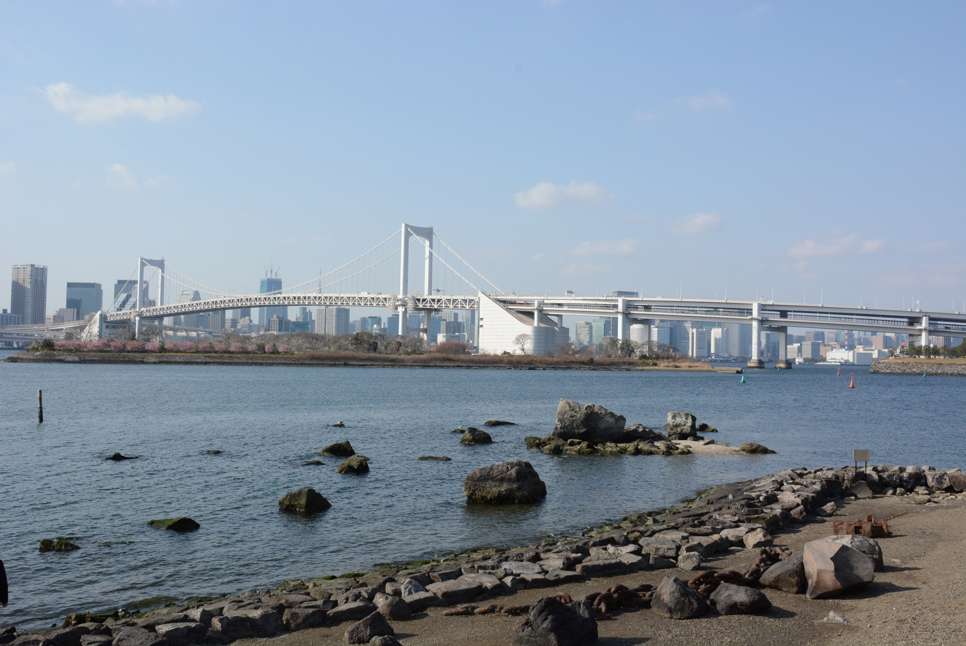 東京湾。レインボーブリッジは見応えたっぷりだ