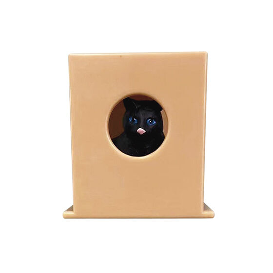 ポーズC（カラー2）