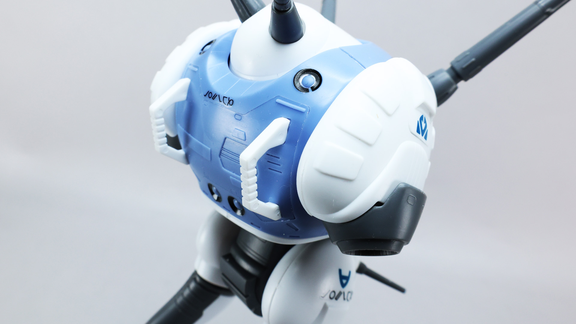 背面各部の微妙な局面も美しく再現しています