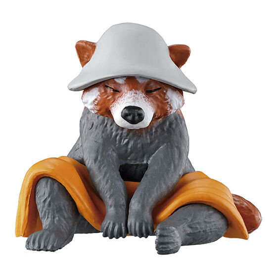 レッサーパンダ