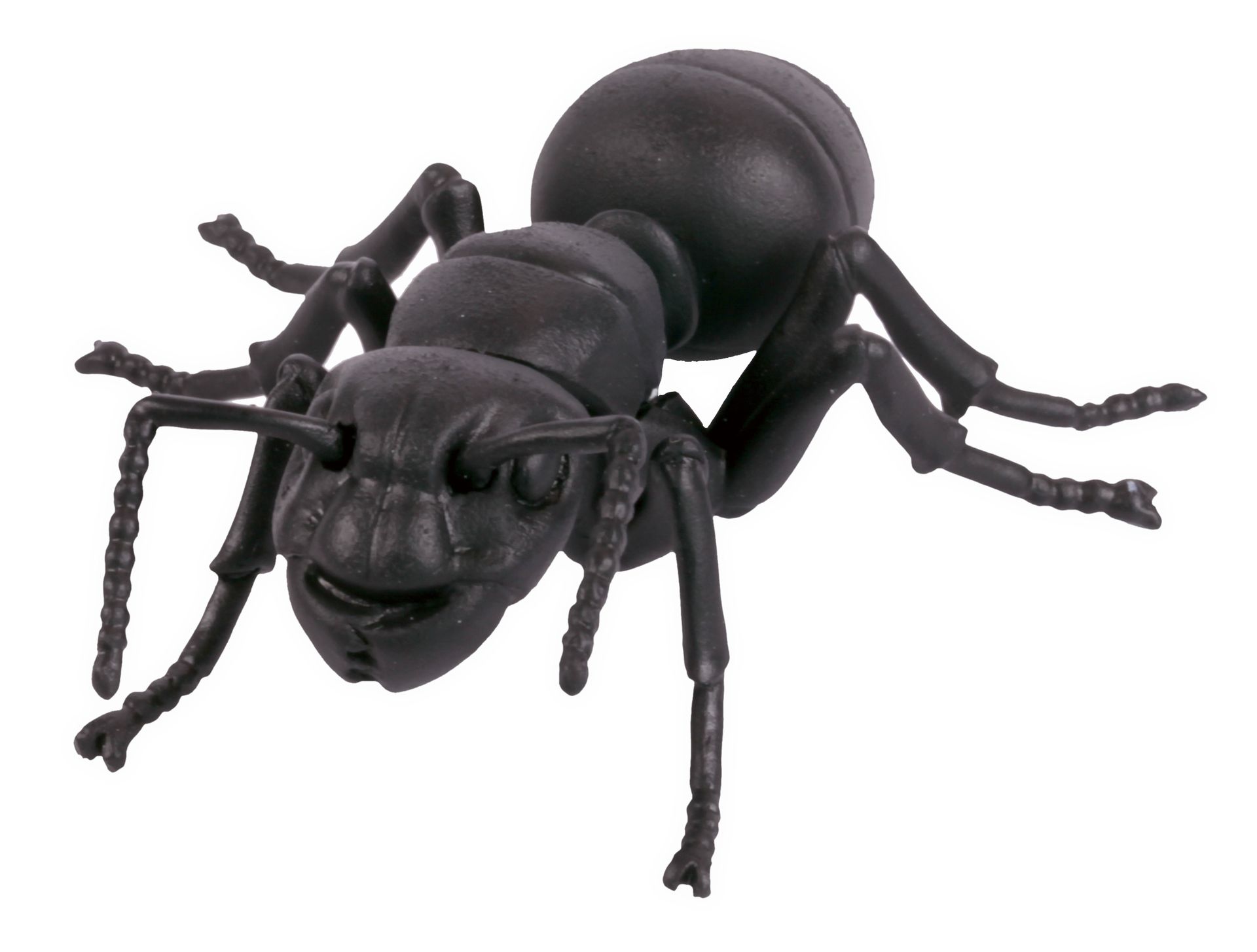 あしが可動する。サイズは約70mm