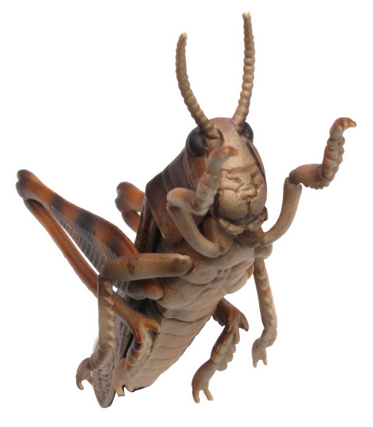 あしが可動する。サイズは約80mm