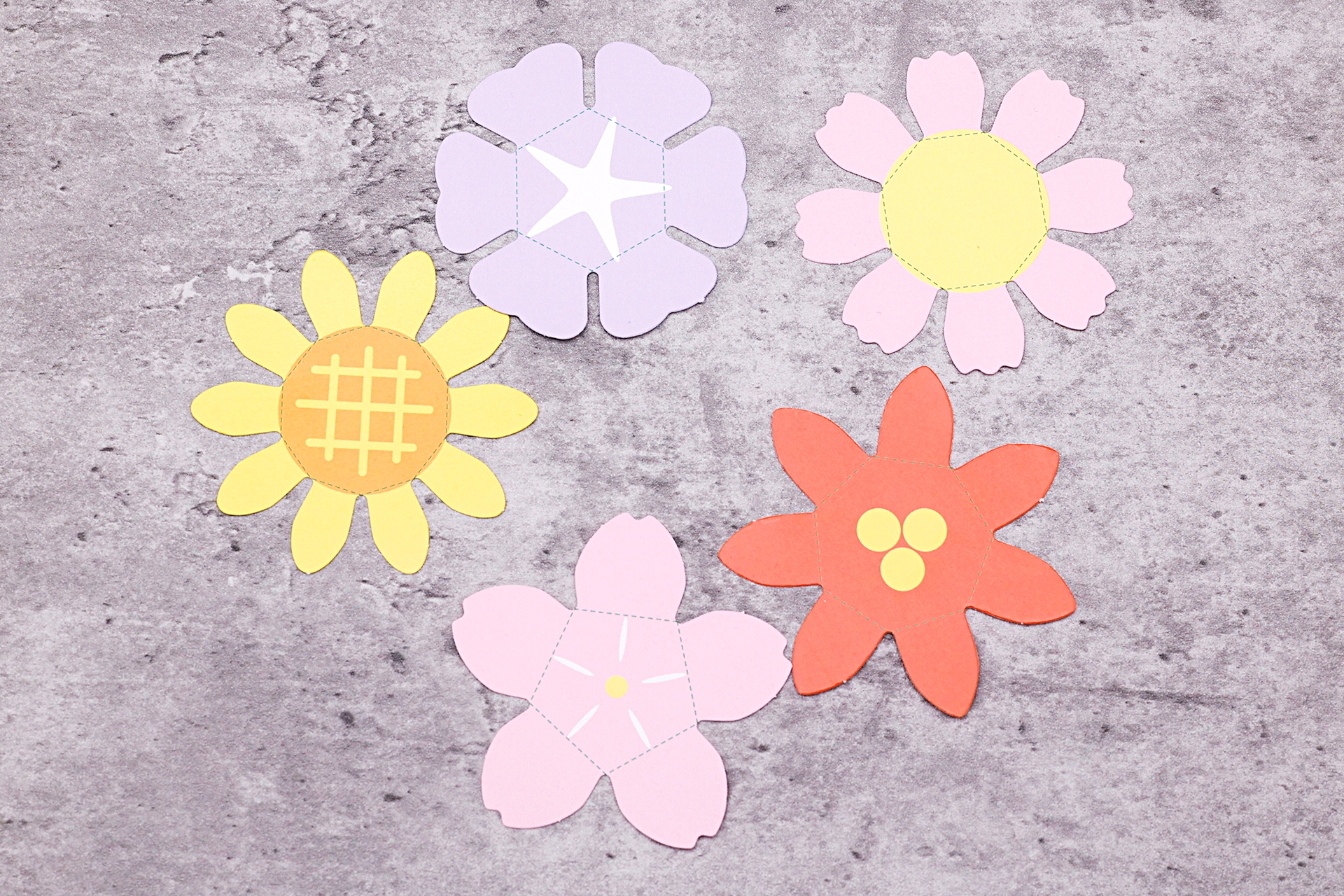 付属している紙製の花びらは、全部で5種類用意されている。1度使った後も、乾かせば再び利用できる