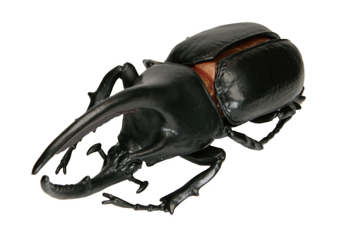 サターンオオカブトが新登場！ 玩菓「昆虫の森 発見！幻のサターン