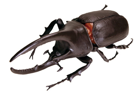 サターンオオカブトが新登場！ 玩菓「昆虫の森 発見！幻のサターン