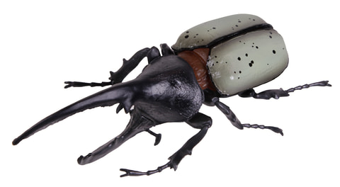 サターンオオカブトが新登場！ 玩菓「昆虫の森 発見！幻のサターン