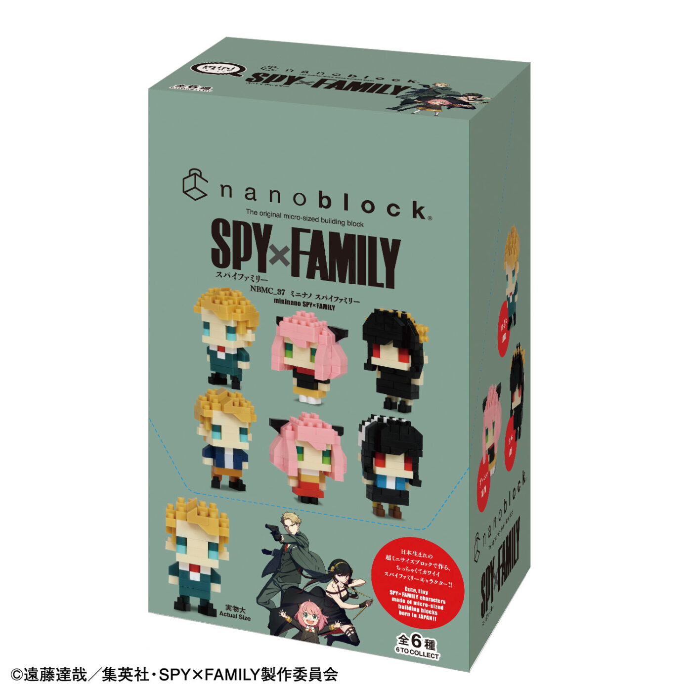 パッケージのイメージ（BOX）