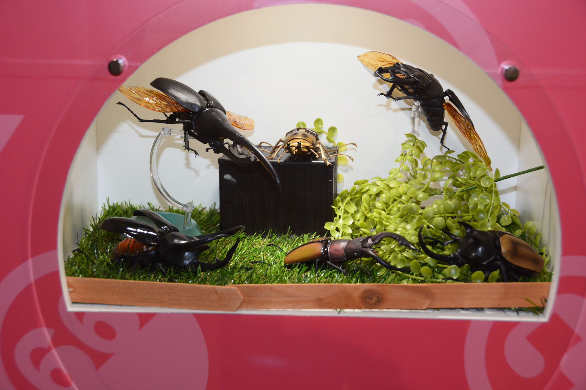 現在の人気ガシャポンを展示