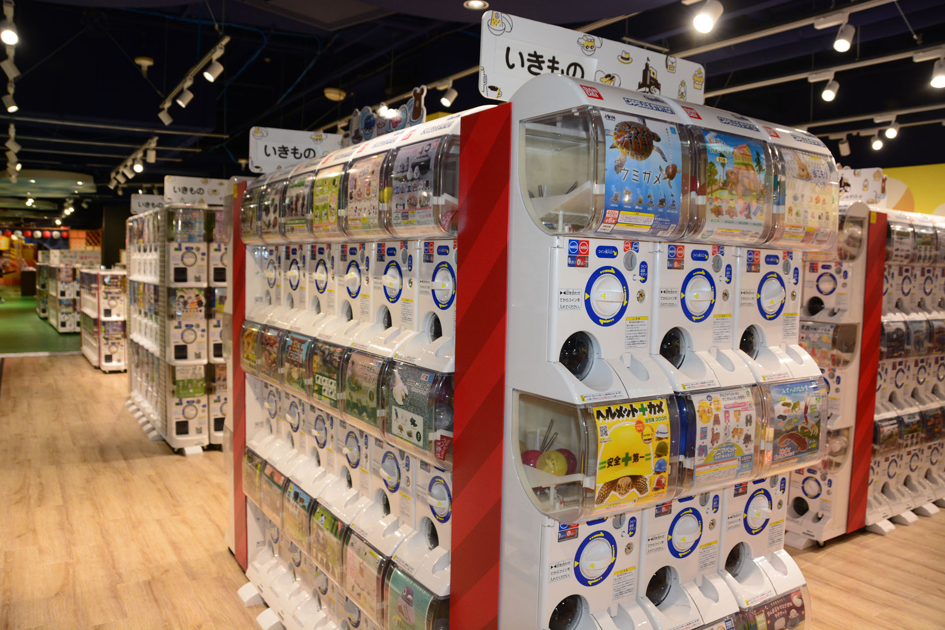 カテゴリー分けで欲しい商品を探しやすくしている