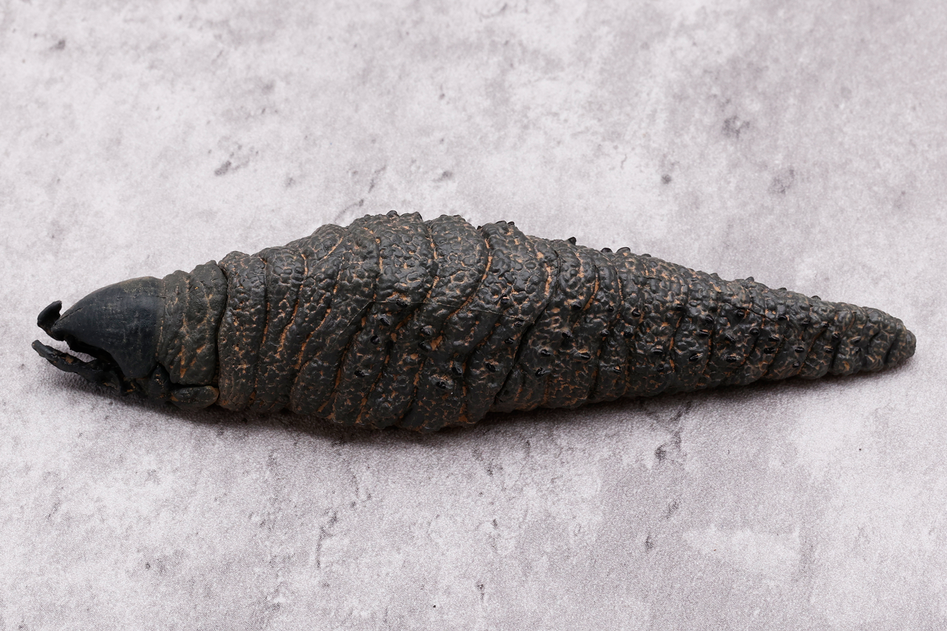 4つのパーツからできているが、そのつなぎ目はまったくわからないようになっている