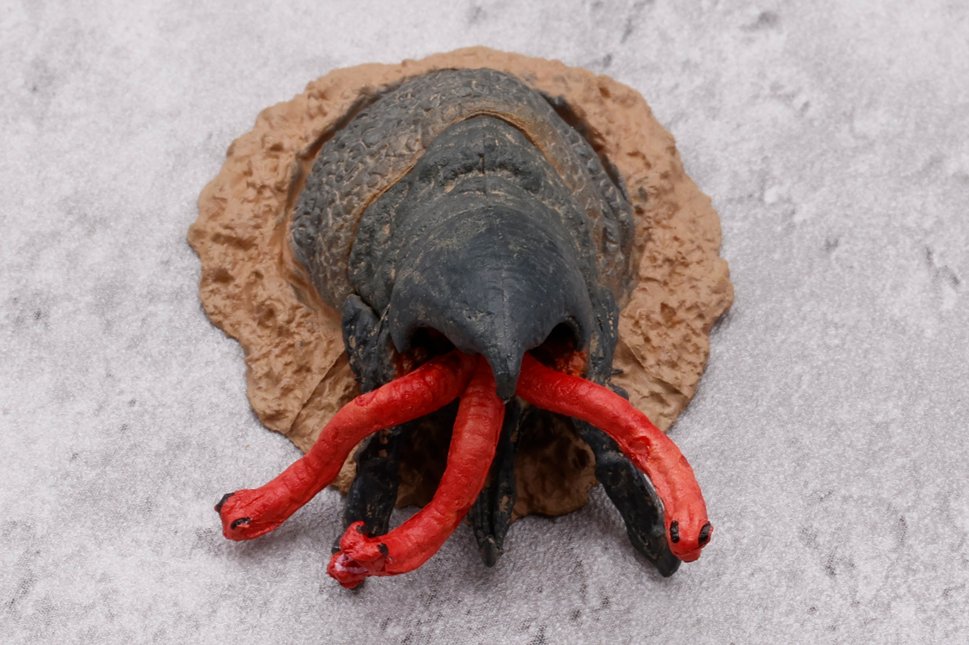 地中から襲いかかっている姿を再現。う～ん、なかなかの迫力！