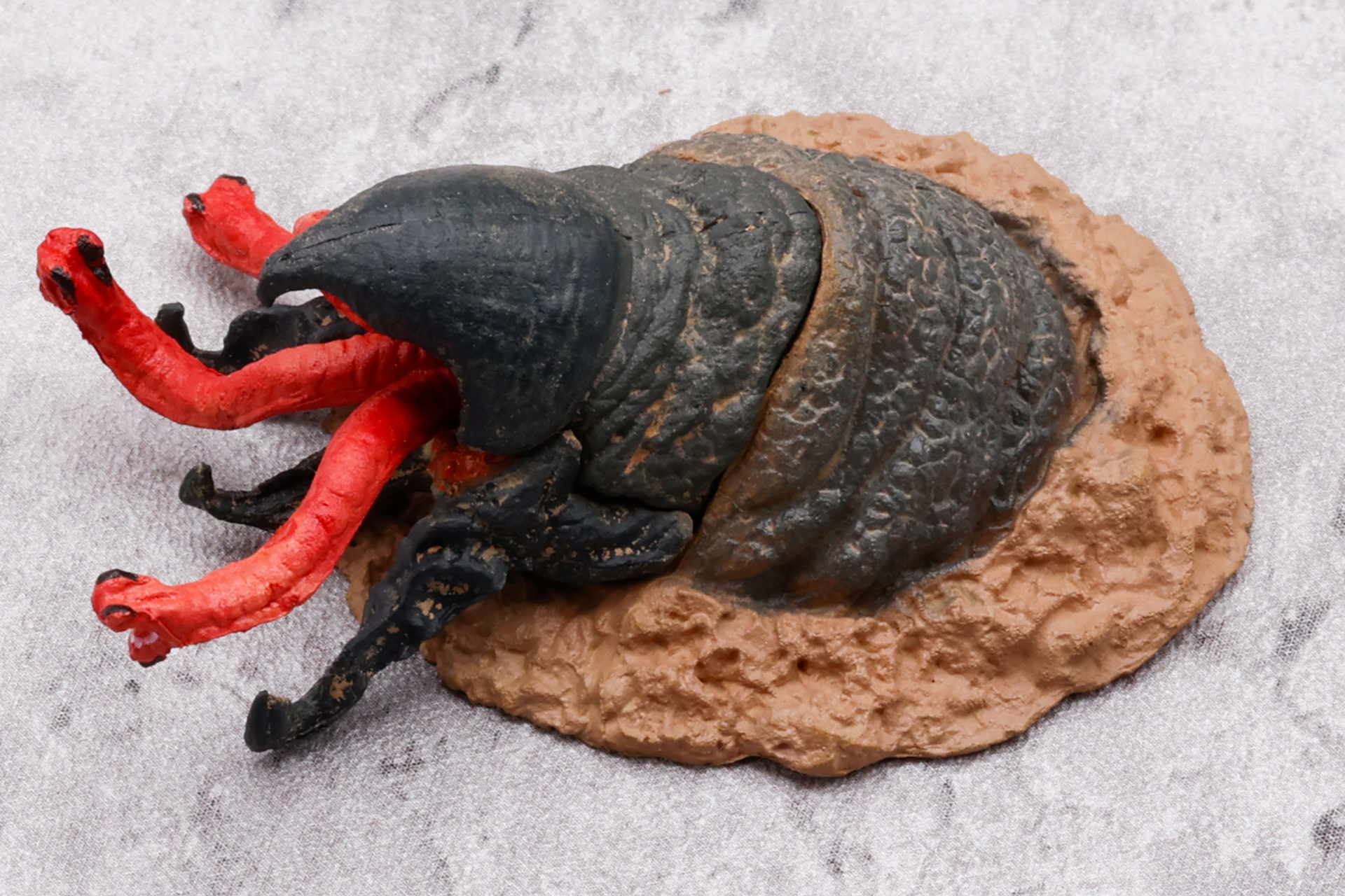 土からせり出している感じが、かなりよく出ているのではないだろうか？