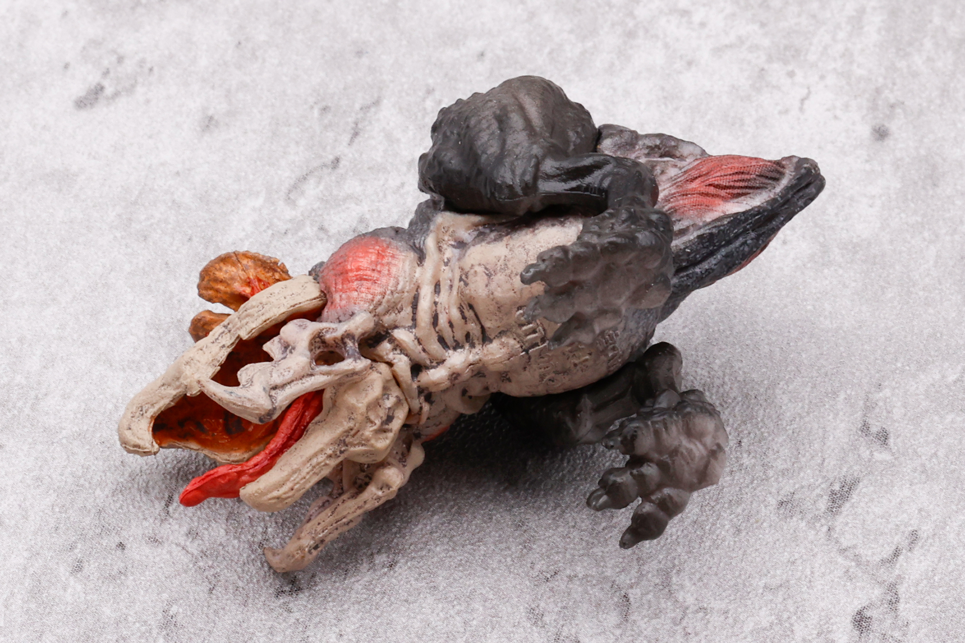 お腹の辺りは、頭部同様に土に近い色になっている