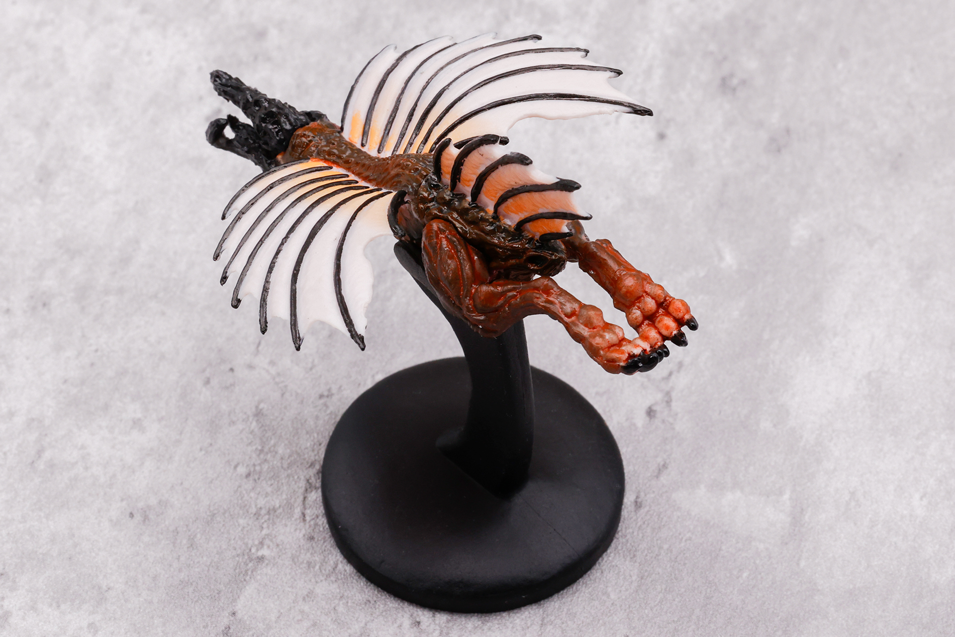 映画ではじっくりと見ることができないが、いろいろな角度からも楽しめるのは嬉しいところだ