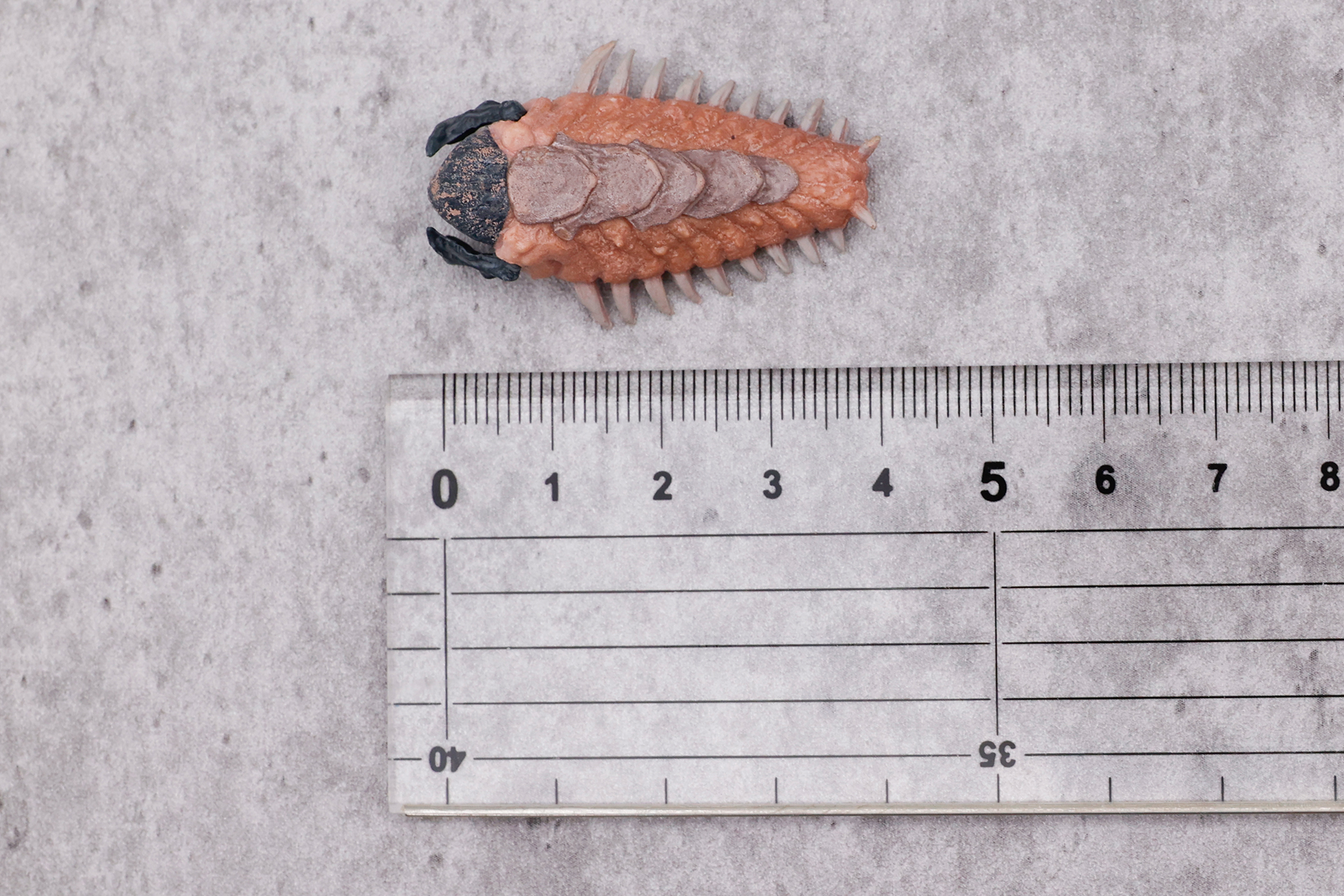 「グラボイド」の幼体ということで、サイズも小ぶりになっている