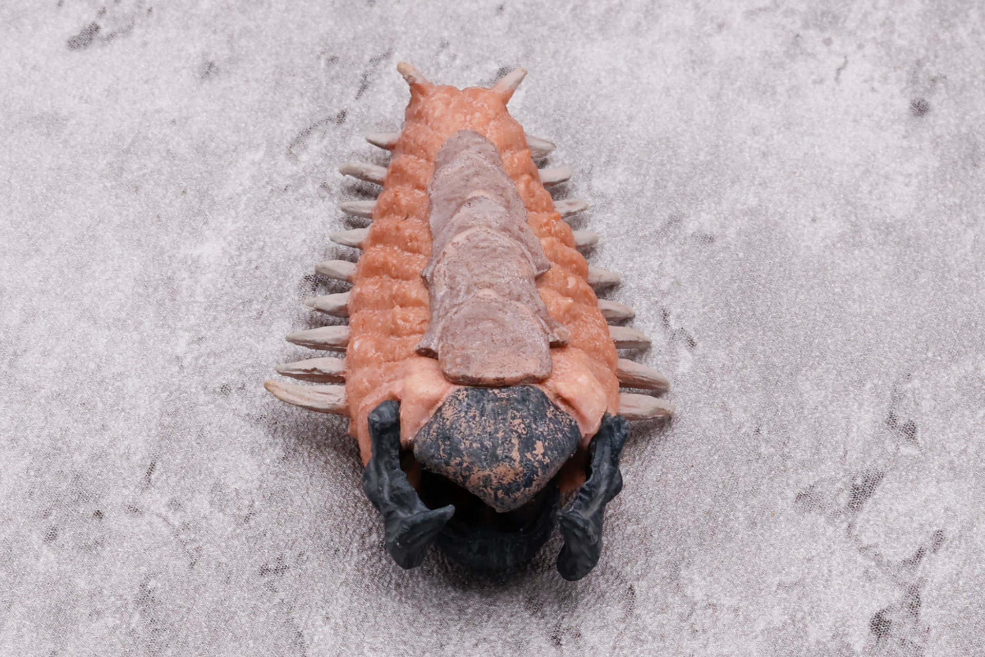 すでに顎の辺りに成体の片鱗が現れている