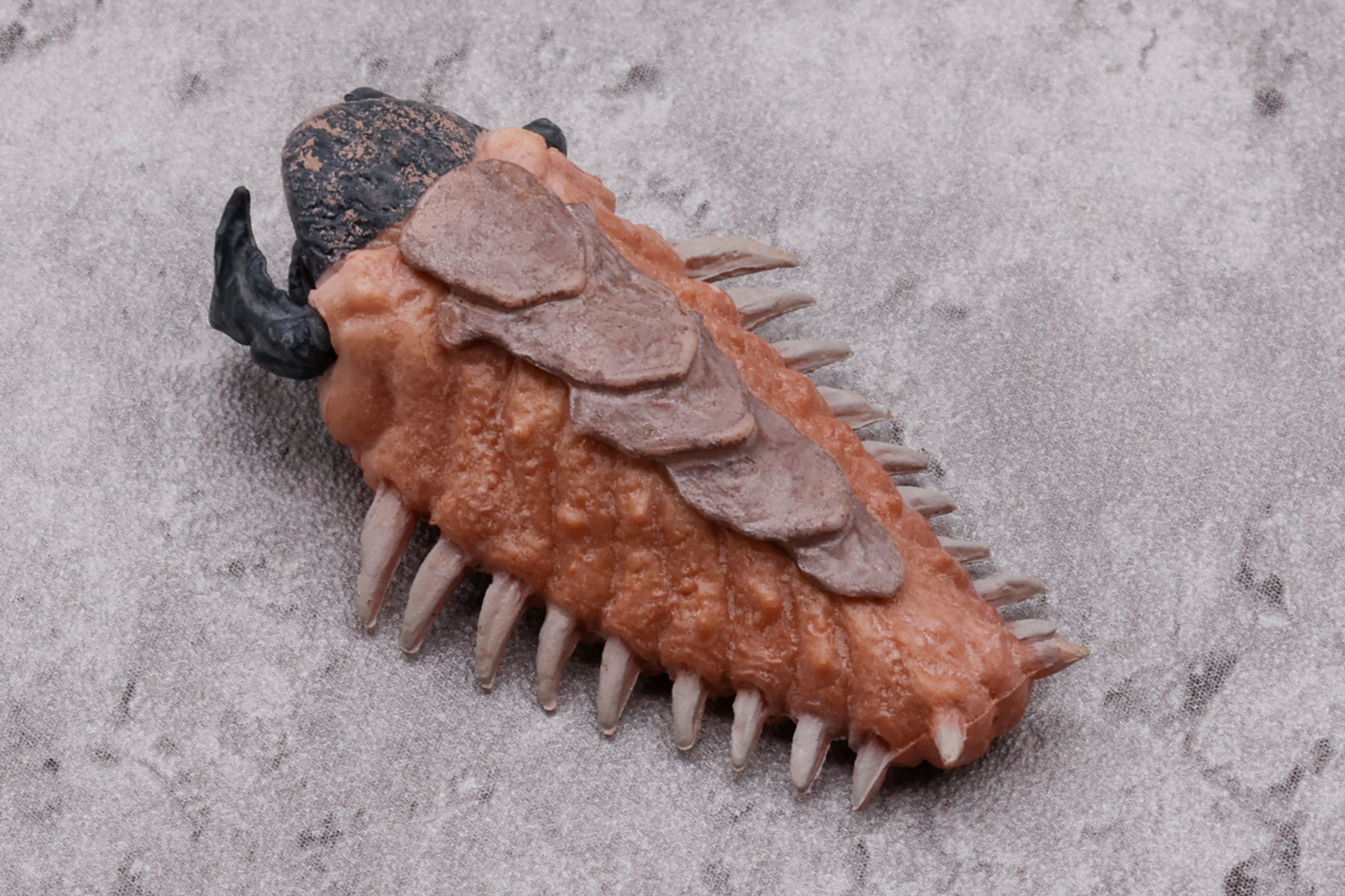 幼体自体もデザイン的に完成されており、「グラボイド」とはまたひと味違った魅力がある