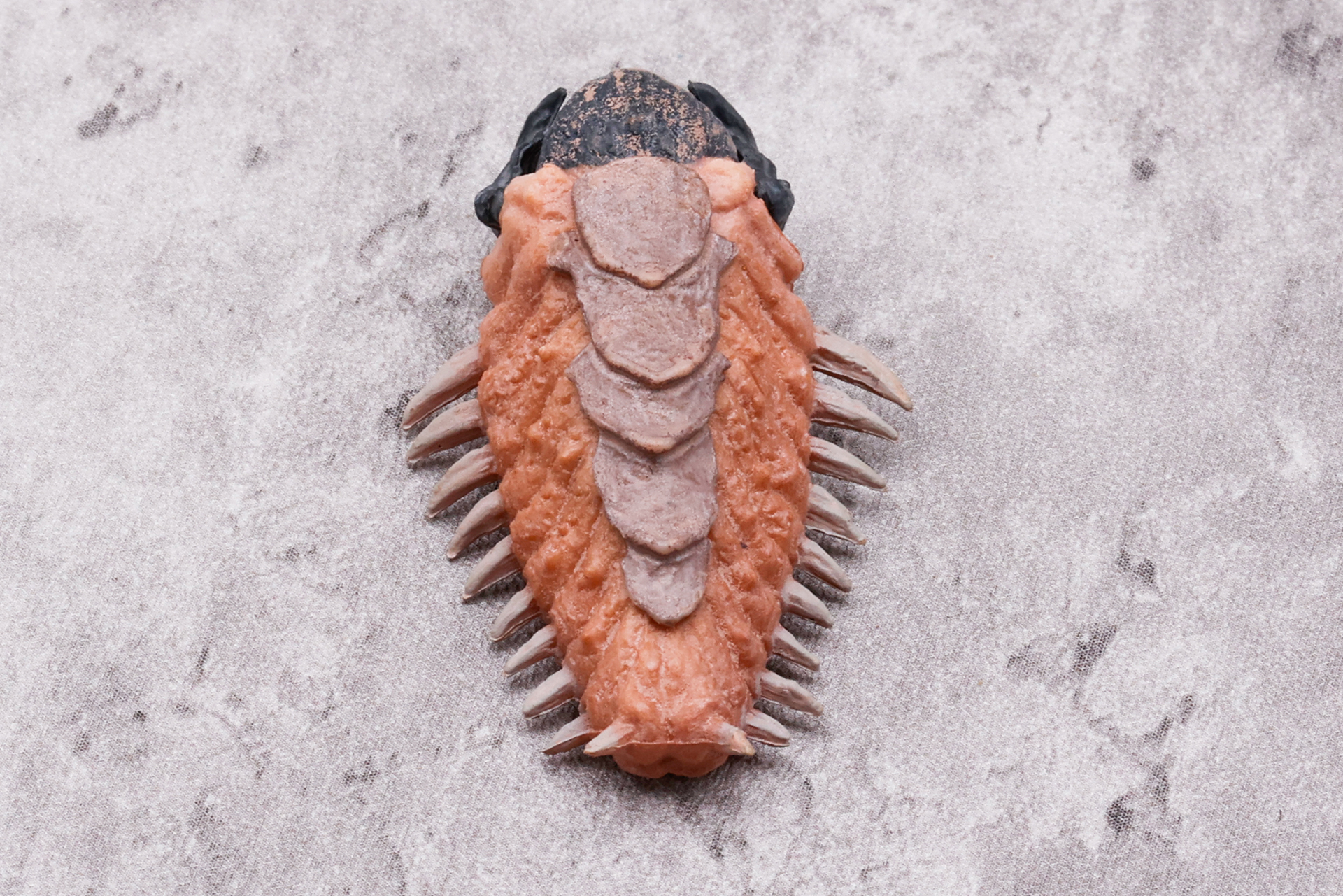 後ろからの姿では、V字型に脚が広がっているように見える。実際にこうした生物が存在していそうだ