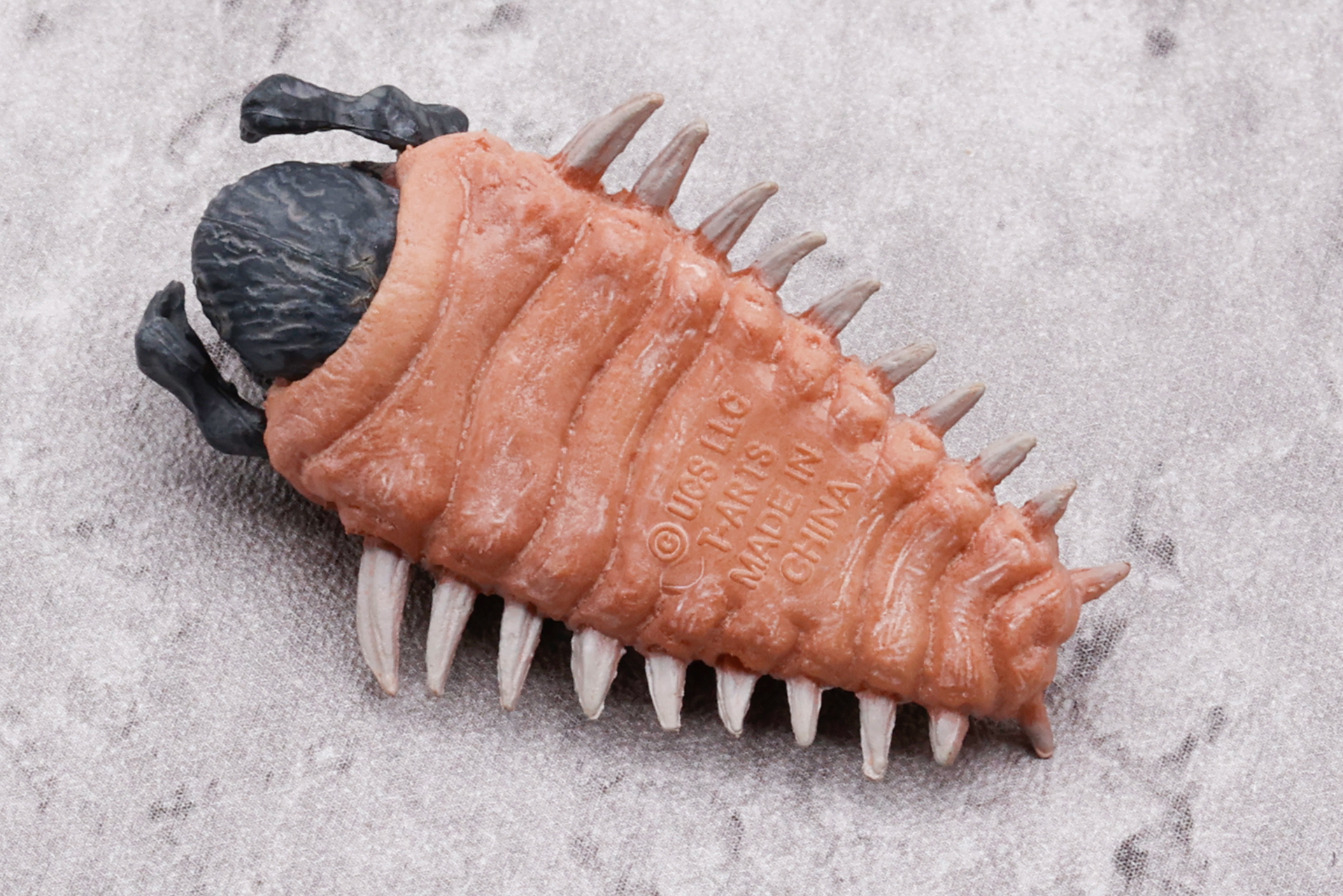 こちらはお腹側から見たところ。目立たないところにコピーライトが刻印されている