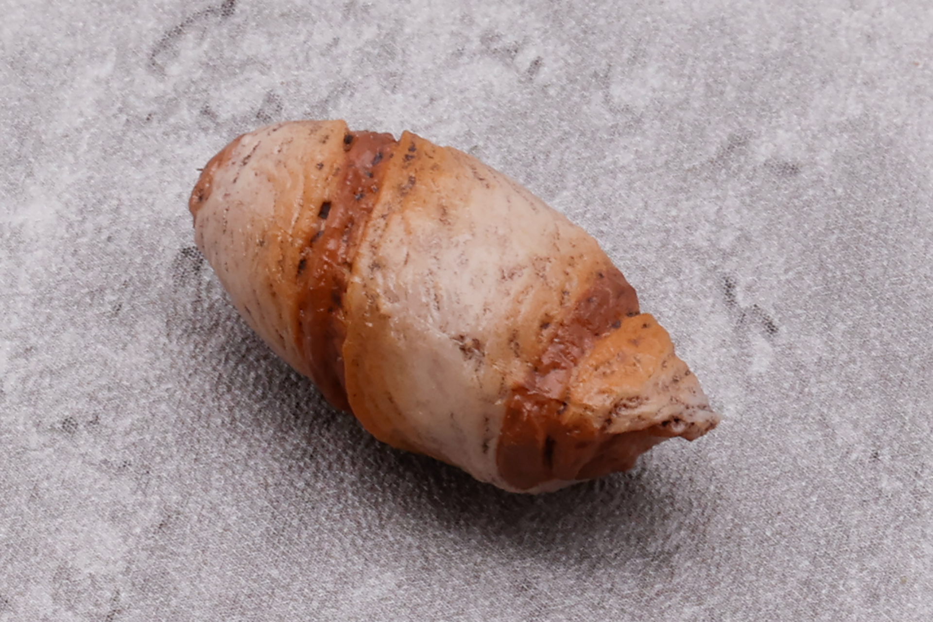 一緒に付属している「グラボイド」の卵。カラーリングも不気味である