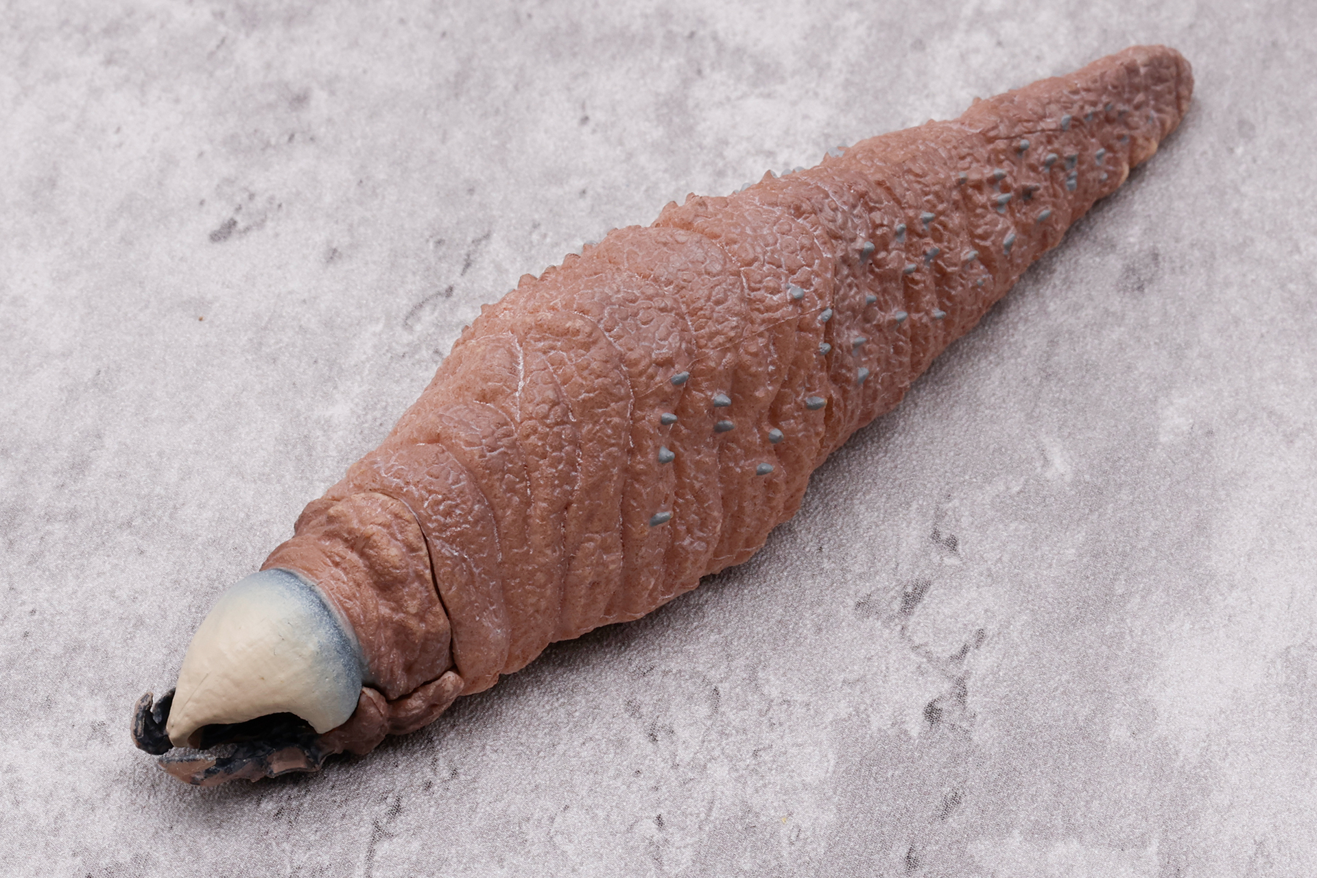 上顎の不気味なカラーリングに目がいきがちだが、土の中を高速に移動するための爪部分も色が塗り分けられているなど、仕事が細かい！