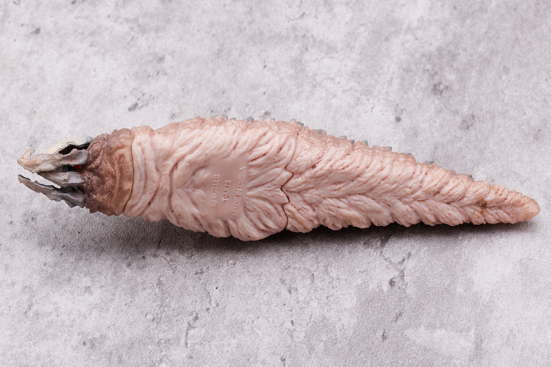 こちらはシークレットの「エル・ブランコ」をお腹から見たところ。さらに日焼けしてない、色白感が出ている