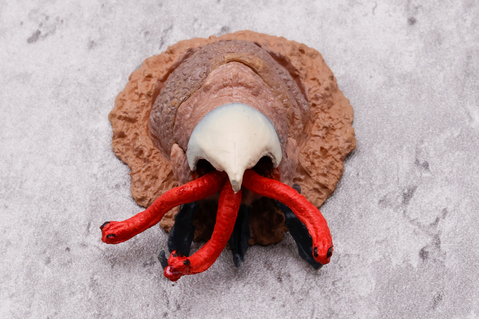 こちらはシークレットの「エル・ブランコ」で、地中から這い出したシーンを再現したころだ