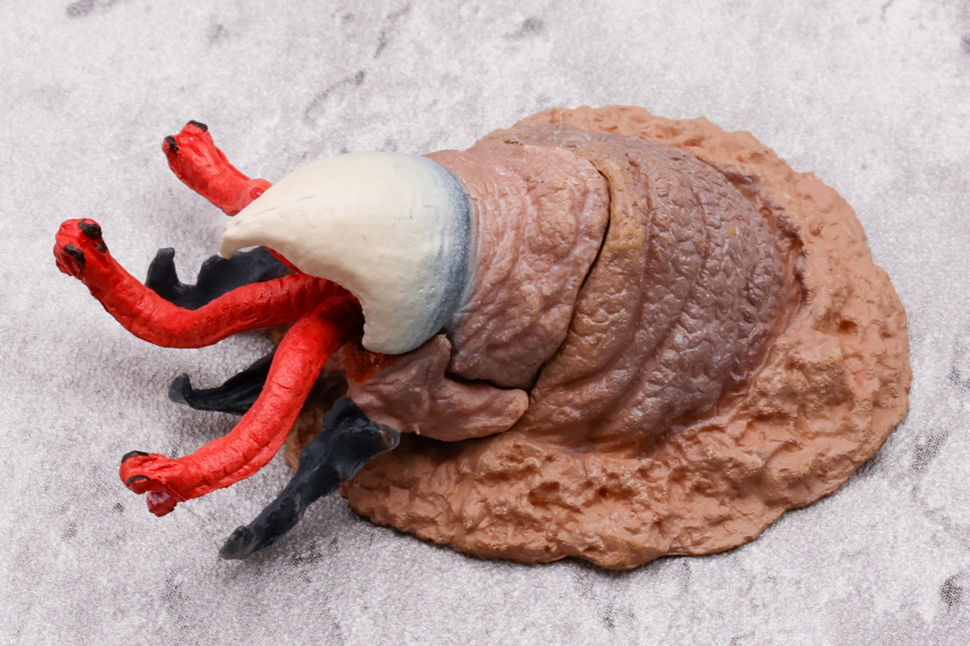 本物……というより、微妙なぬいぐるみ感が出ているところも素晴らしい