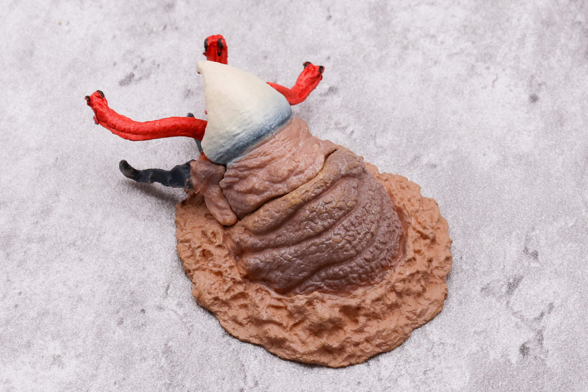 ほとんど、這い出してきている土の部分と同化している感じの色合いだ