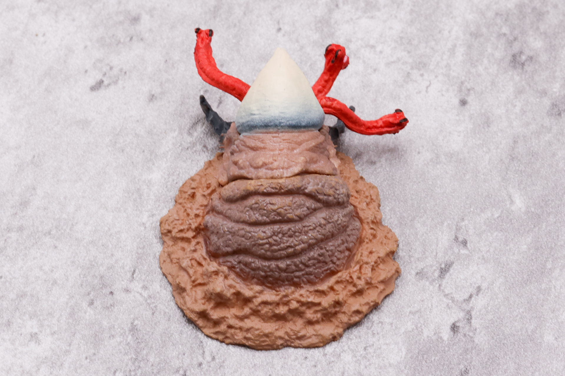 真後ろから見ても、赤い触手や上顎がよく見える形状になっている