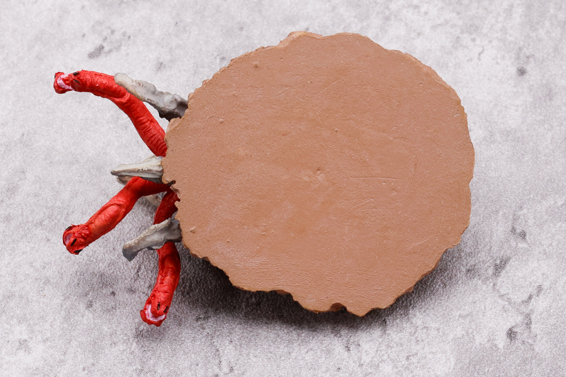 底面側も、「グラボイド」同様にシンプルな作りになっている