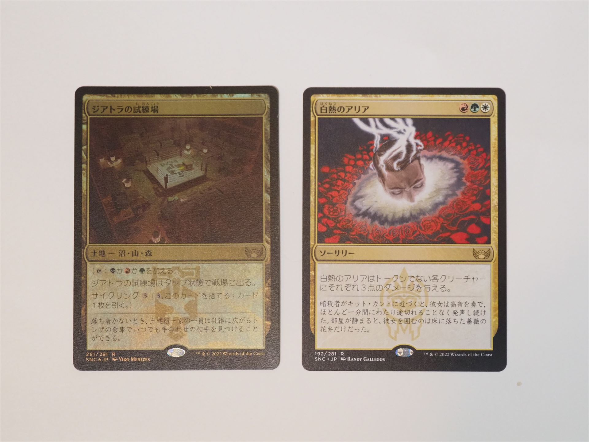 ドラフト・ブースターに入っていたレアカード2枚。通常、ドラフト・ブースターにはレア以上のカードは1枚しか入っていないが、運がいいと、フォイル枠がレア以上になることがある。そういう意味では当たりパックだ。左がフォイルのレア土地カード