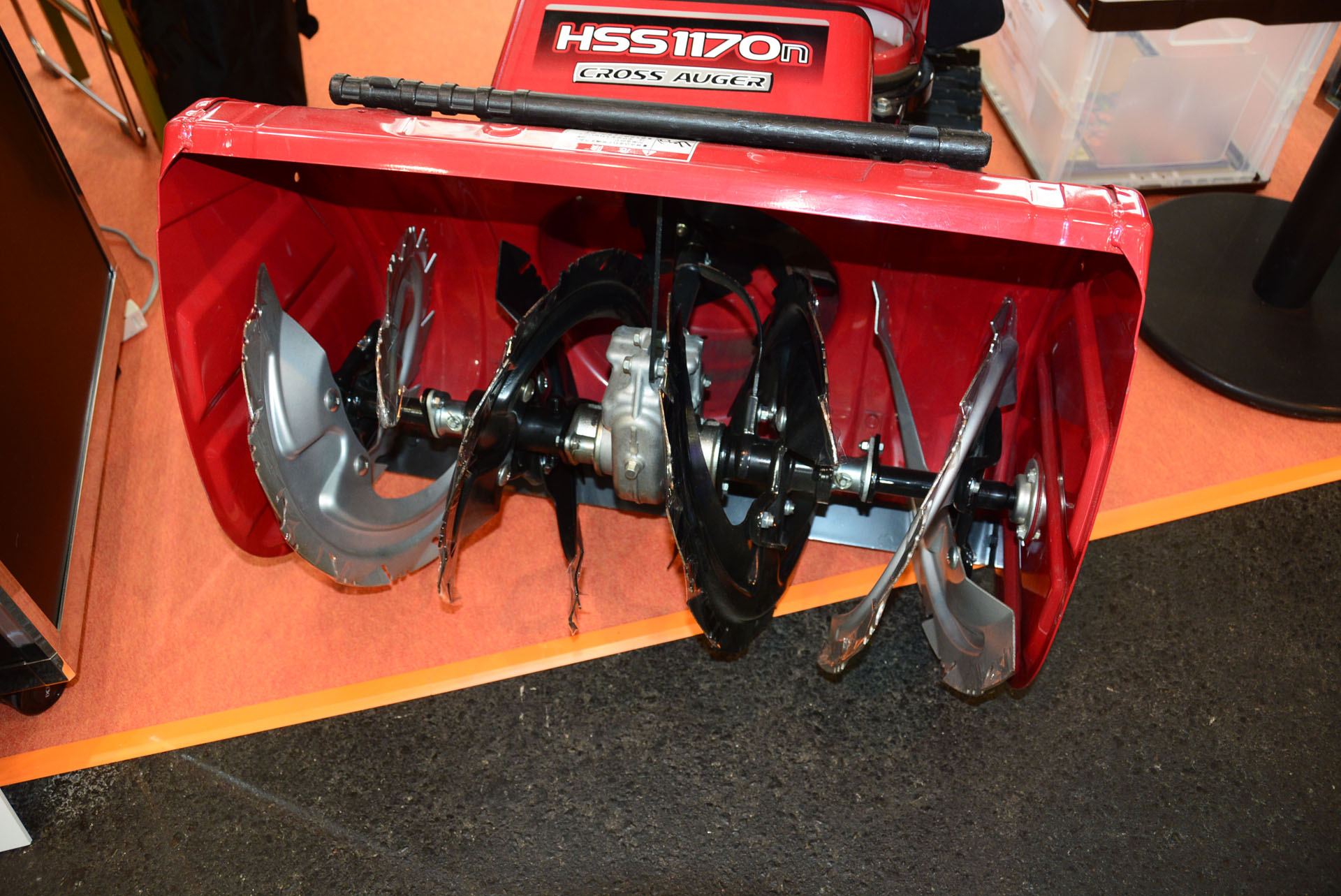 大迫力のかぎ爪