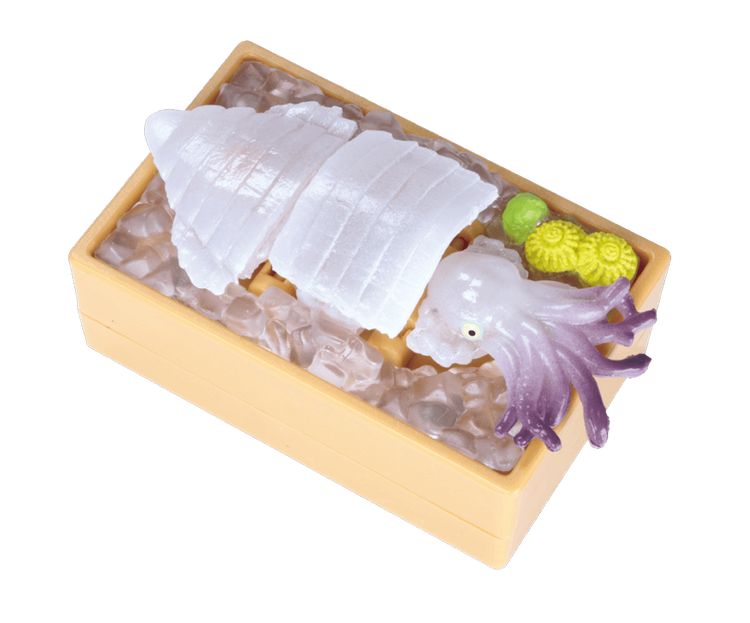 動くいかのお造り