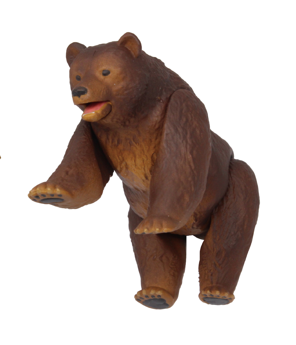 成長すると体調3mに達し、近年、人間の住む場所への出没も増えている