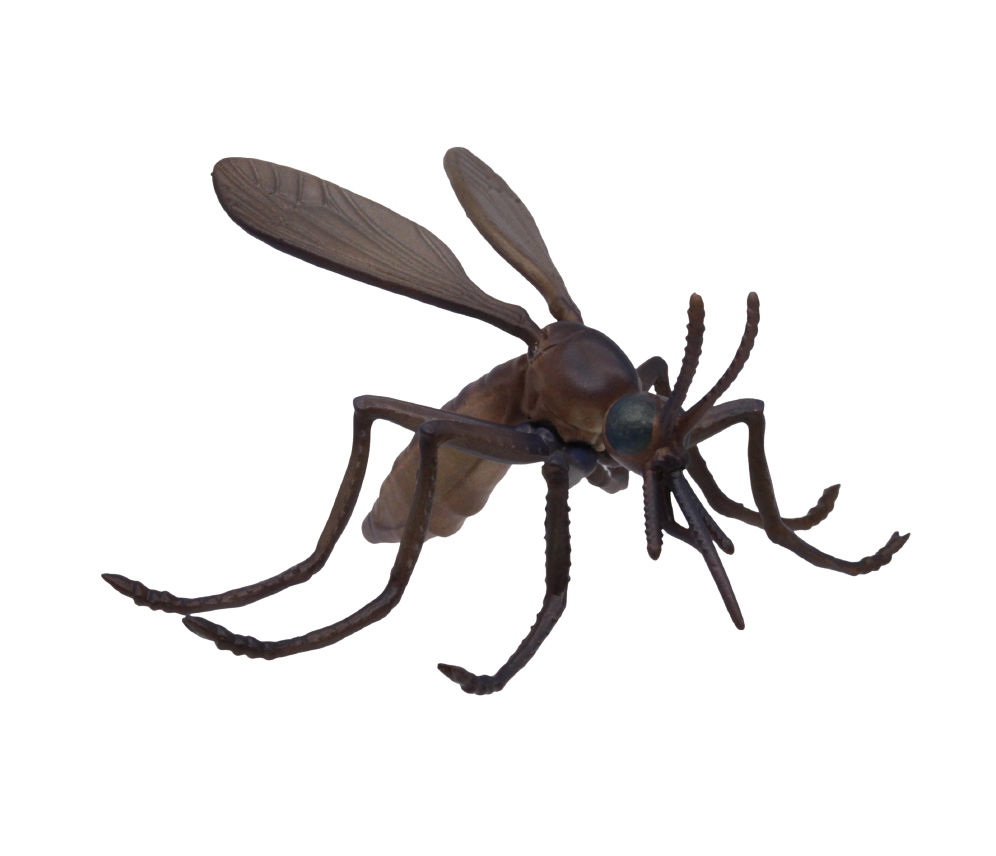 長い口吻で吸血する。伝染病を拡げる種類もいる