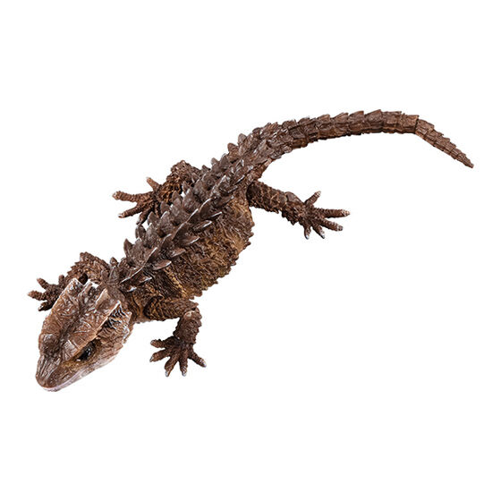 ガシャ いきもの大図鑑アドバンス アカメカブトトカゲとモトイカブトトカゲ 5月発売 実寸大フル可動フィギュアとして細部まで再現 Hobby Watch