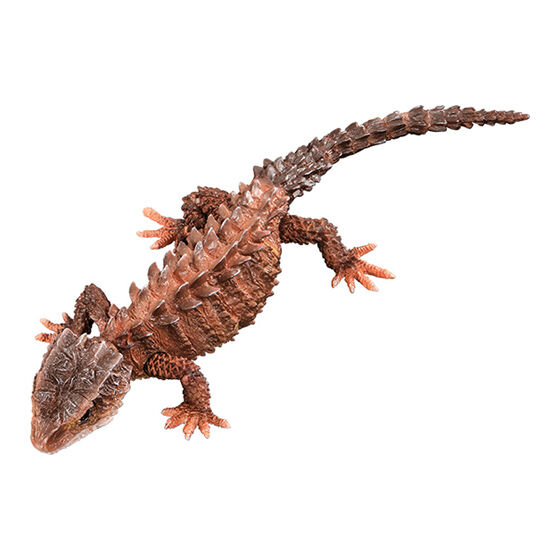 モトイカブトトカゲ：ライトブラウン