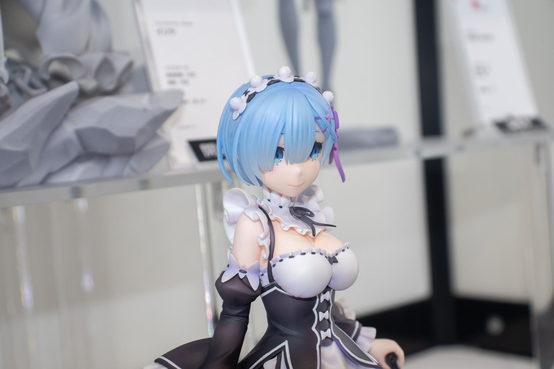 前髪の間から覗く瞳やコルセットでしまったボディライン