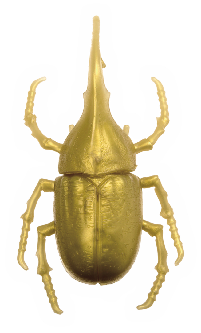 ヘラクレスオオカブト/約10.5mm