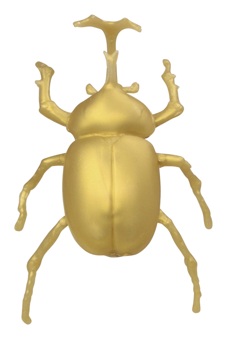 ヤマトカブト/約7.5mm