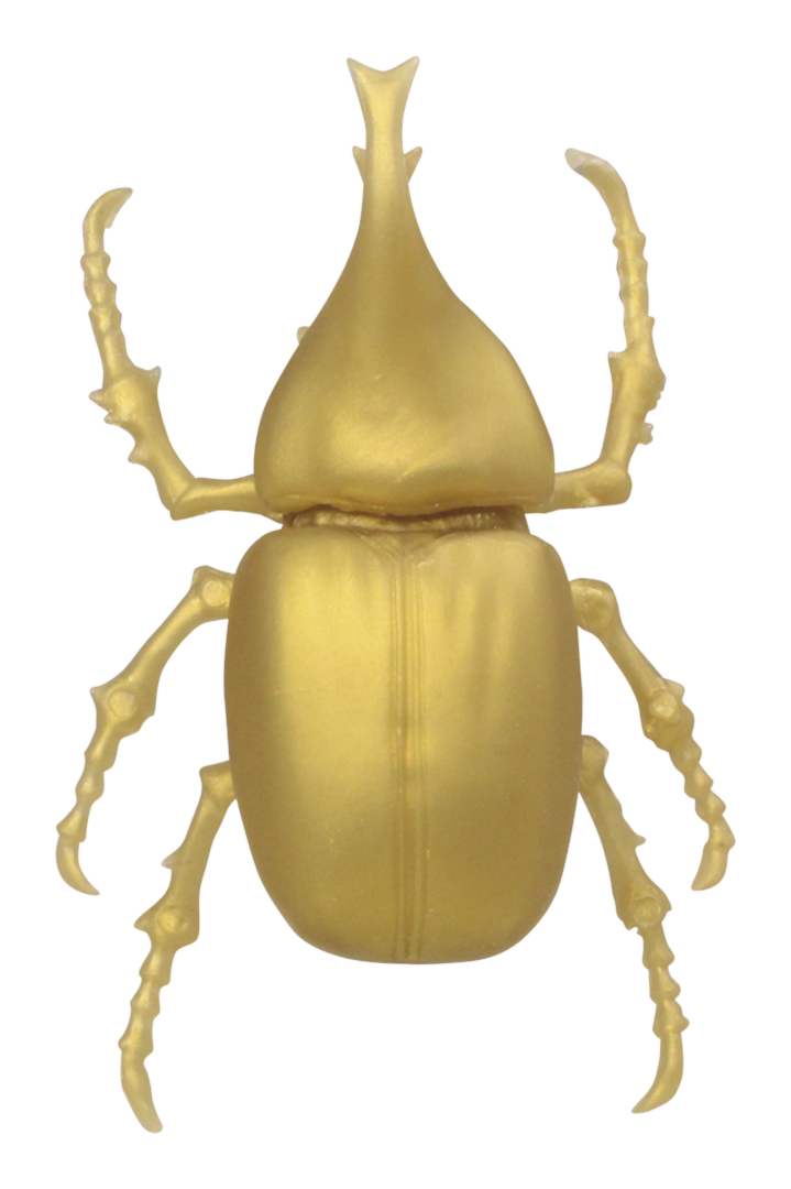 ヒメカブト/約7.2mm