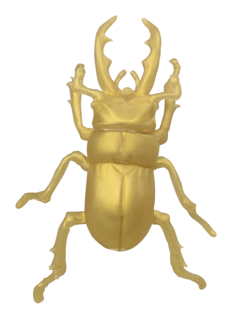 ノコギリクワガタ/約6.7mm