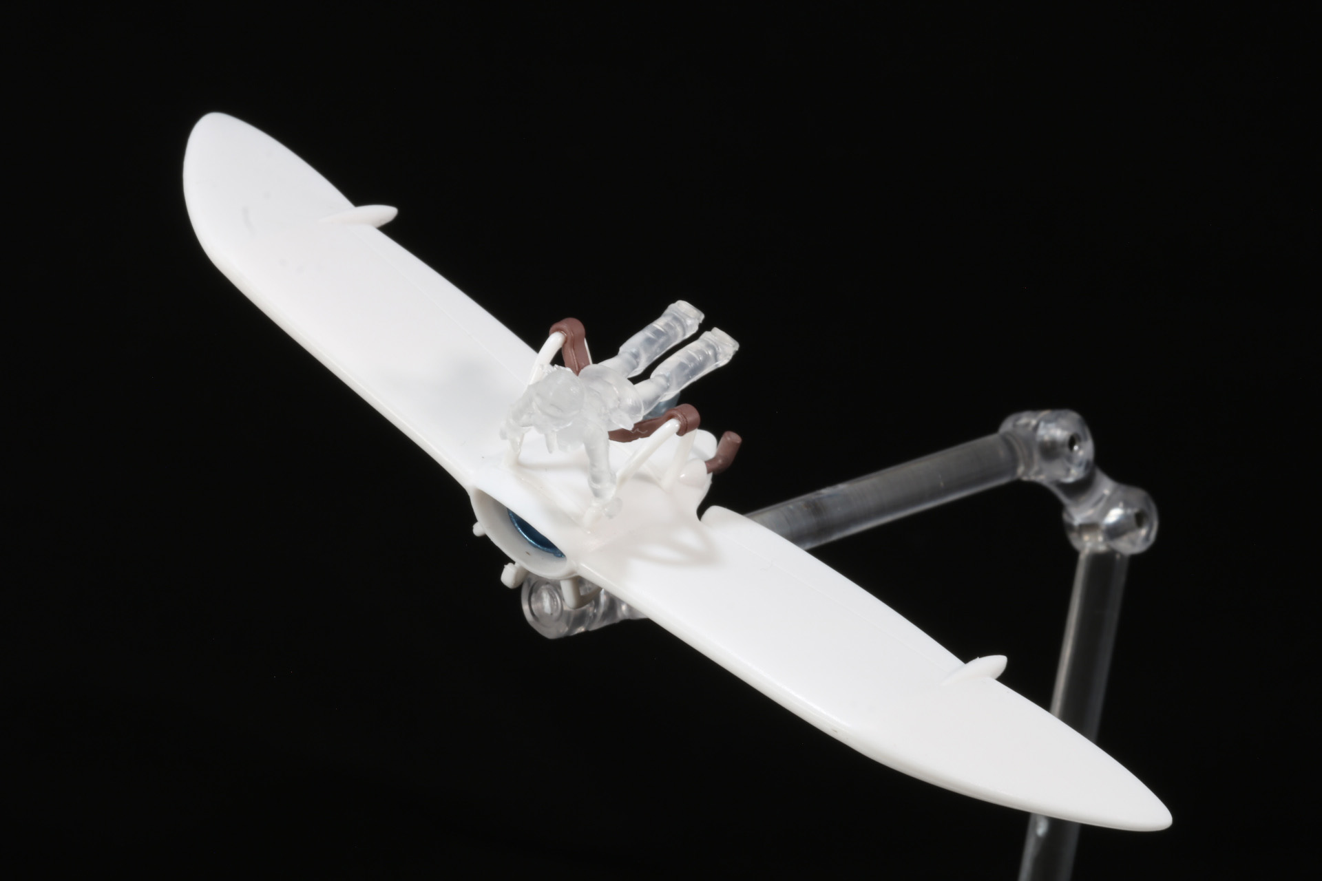 風を掴んで飛ぶ様子が楽しめる