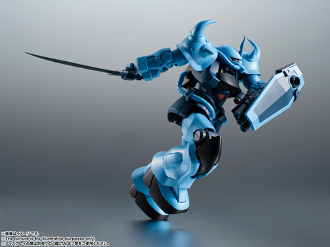 ROBOT魂＜SIDE MS＞ MS-07B-3 グフ・カスタム ver. A.N.I.M.E.