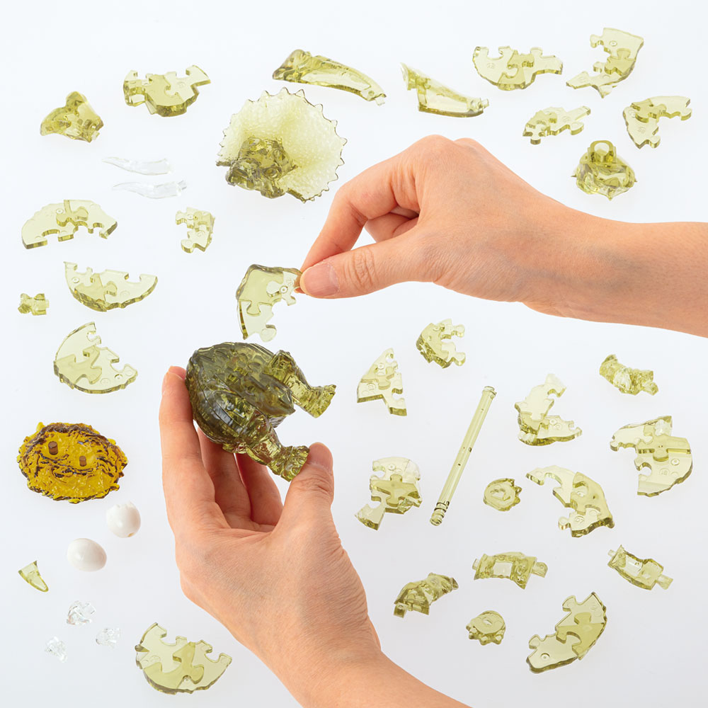 ディスプレイライトは別売り